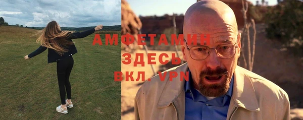 сатива Медногорск