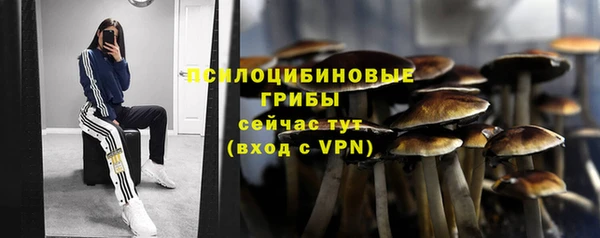 СК Аксай