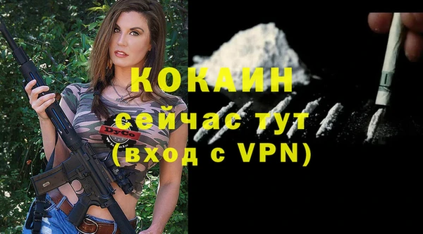 сатива Медногорск
