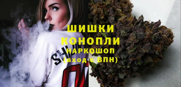 мдпв Магас